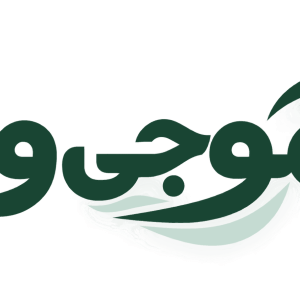 سایت فروشگاهی موجیکس